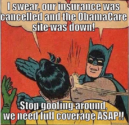 I SWEAR, OUR INSURANCE WAS CANCELLED AND THE OBAMACARE SITE WAS DOWN! STOP GOOFING AROUND, WE NEED FULL COVERAGE ASAP!! Batman Slapping Robin