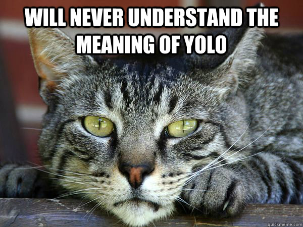 Will Never Understand The Meaning of YOLO   