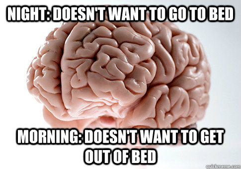 Night: Doesn't want to go to bed Morning: Doesn't want to get out of bed  Scumbag Brain