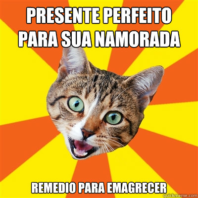 Presente perfeito para sua namorada remedio para emagrecer  Bad Advice Cat