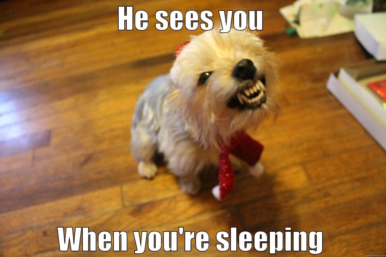 Santa dog - HE SEES YOU WHEN YOU'RE SLEEPING Misc