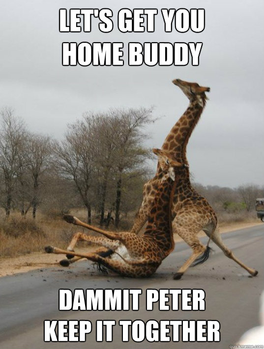 let's get you
home buddy dammit peter
keep it together - let's get you
home buddy dammit peter
keep it together  Drunk Giraffe