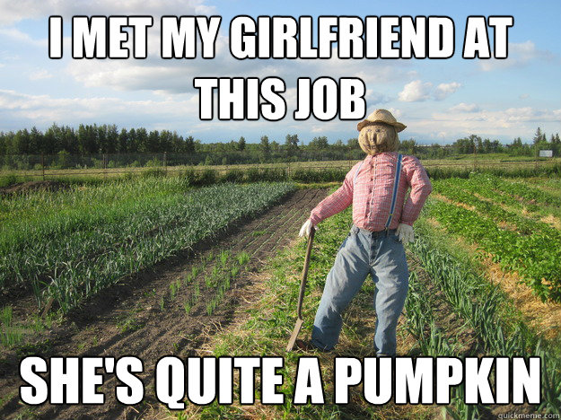 I met my girlfriend at this job She's quite a Pumpkin  Scarecrow