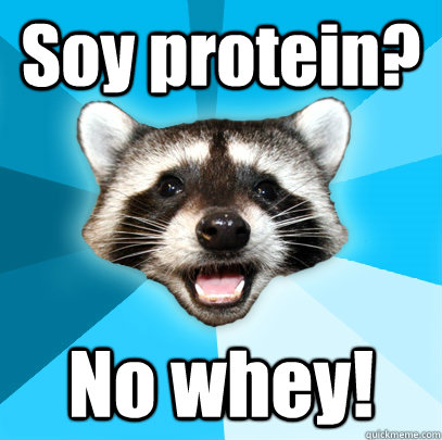 Soy protein? No whey!  Lame Pun Coon