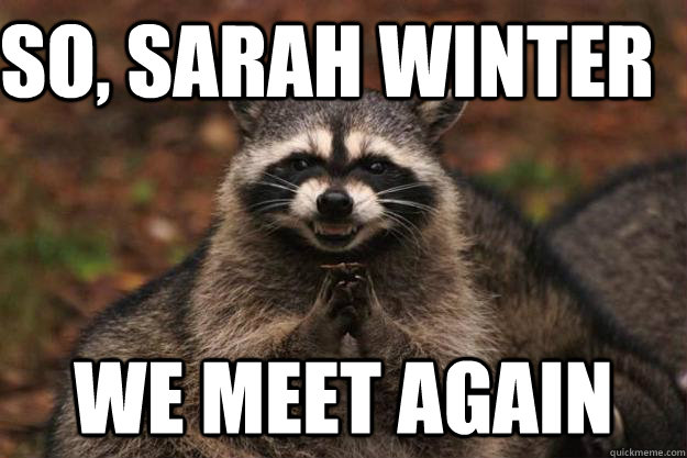 so, sarah winter We meet again   Evil Plotting Raccoon