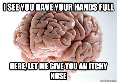 I see you have your hands full Here, let me give you an itchy nose - I see you have your hands full Here, let me give you an itchy nose  Scumbag Brain