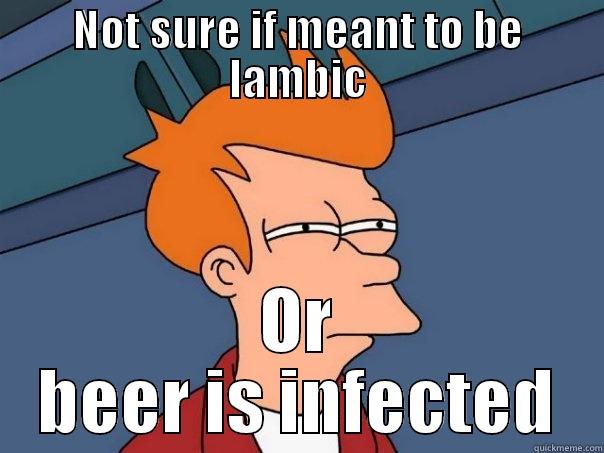 sour craft beer - NOT SURE IF MEANT TO BE LAMBIC OR BEER IS INFECTED Futurama Fry