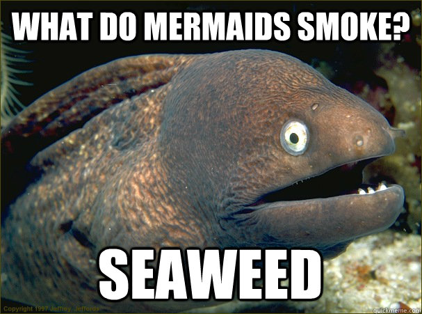 what do mermaids smoke? seaweed - what do mermaids smoke? seaweed  Bad Joke Eel