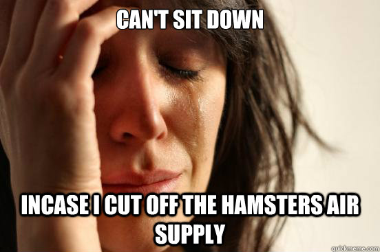 Can't sit down Incase i cut off the hamsters air supply  First World Problems