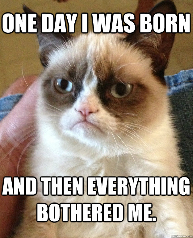 One day I was born and then everything bothered me.  Grumpy Cat