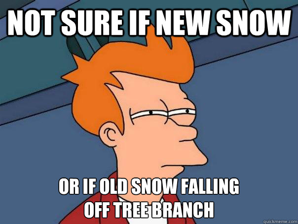 Not sure if new snow Or if old snow falling 
off tree branch - Not sure if new snow Or if old snow falling 
off tree branch  Futurama Fry