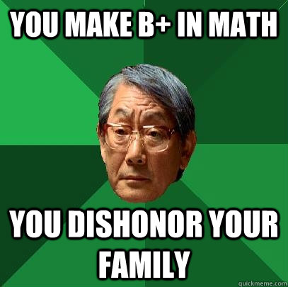 you make B+ in math You dishonor your family  High Expectations Asian Father