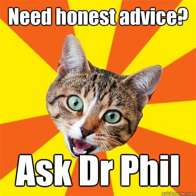 Need honest advice? Ask Dr Phil  Bad Advice Cat