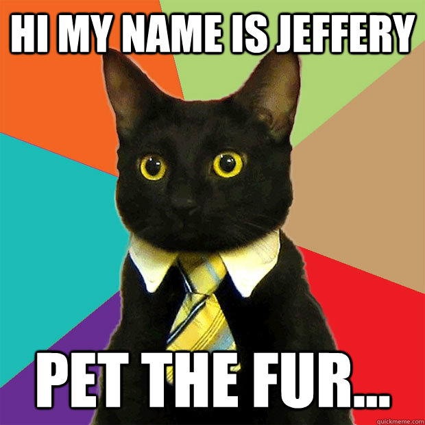 Hi my name is Jeffery Pet the fur...  Business Cat