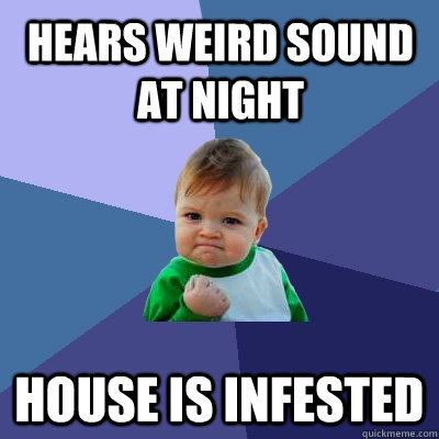 Hears weird sound at night house is infested  Success Kid