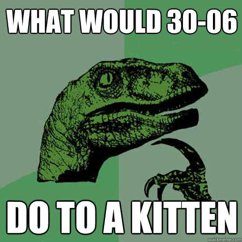 What would 30-06 do to a kitten  Philosoraptor