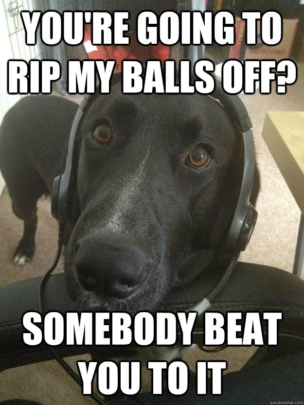 You're going to rip my balls off? Somebody beat you to it  Gamer Dog