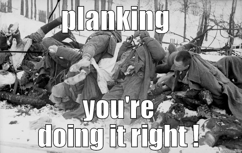 lol planking - PLANKING  YOU'RE DOING IT RIGHT ! Misc