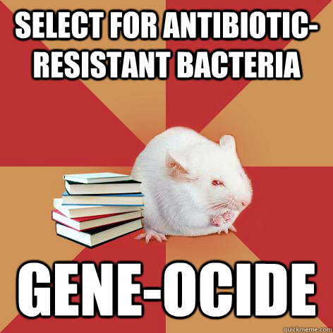 select for antibiotic-resistant bacteria gene-ocide  Science Major Mouse