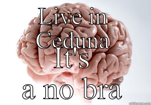 LIVE IN CEDUNA IT'S A NO BRAINIER  Scumbag Brain