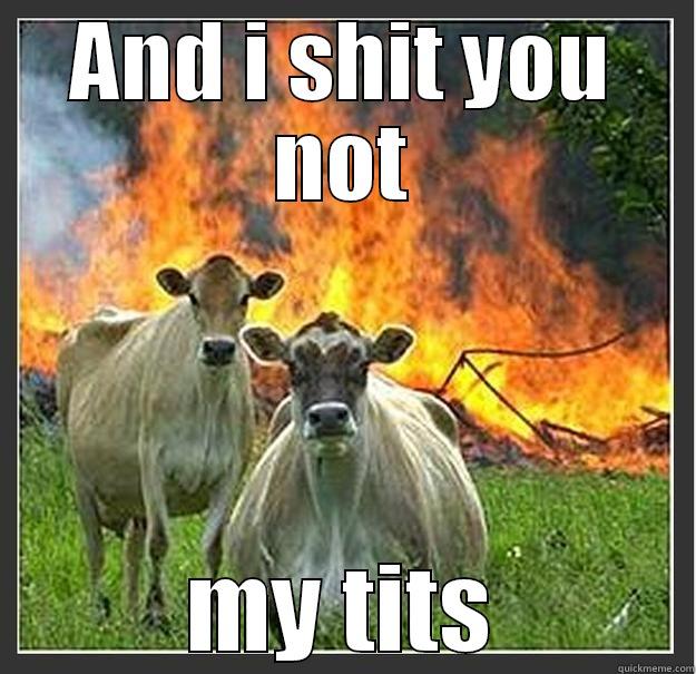 AND I SHIT YOU NOT MY TITS Evil cows