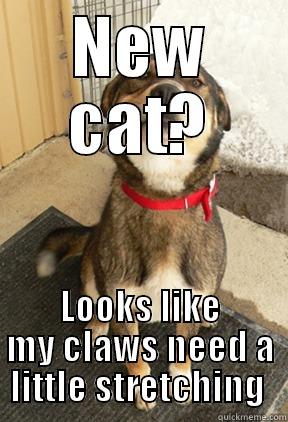 NEW CAT? LOOKS LIKE MY CLAWS NEED A LITTLE STRETCHING  Good Dog Greg