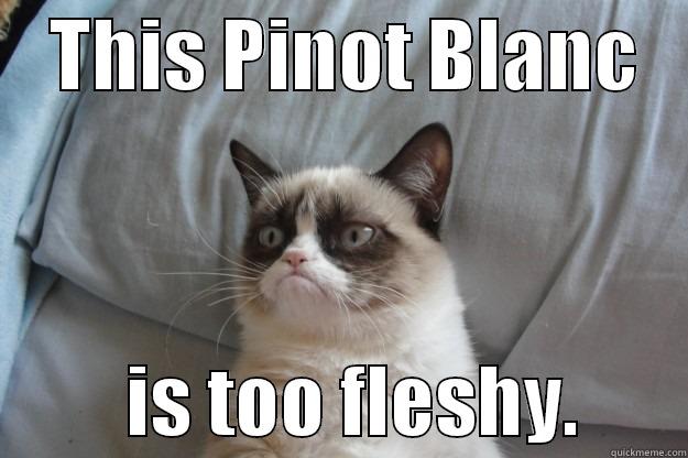 Pinot Blanc -    THIS PINOT BLANC             IS TOO FLESHY.       Grumpy Cat