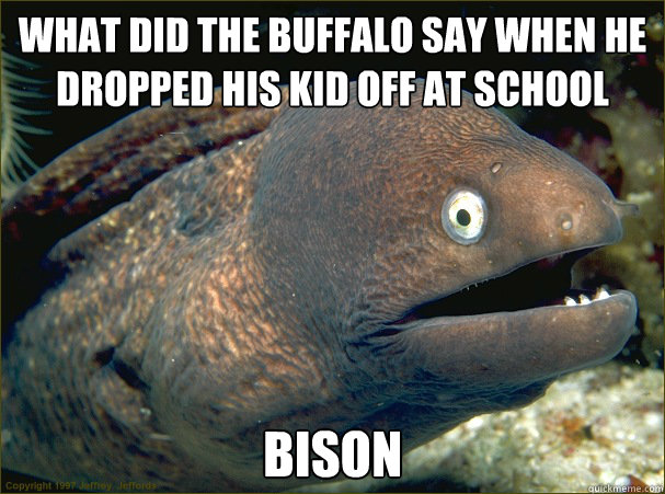 What did the buffalo say when he dropped his kid off at school bison  Bad Joke Eel