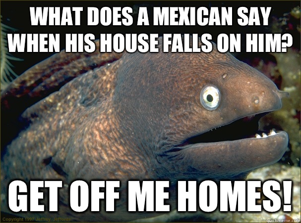 What does a Mexican say when his house falls on him? Get off me Homes!  Bad Joke Eel