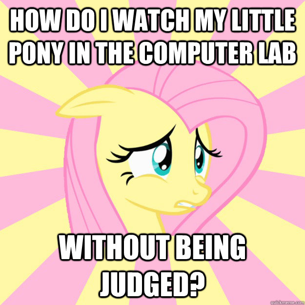 How do I watch My Little Pony in the computer lab without being judged? - How do I watch My Little Pony in the computer lab without being judged?  Socially awkward brony