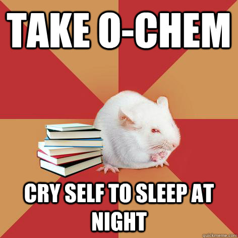 take o-chem cry self to sleep at night  Science Major Mouse