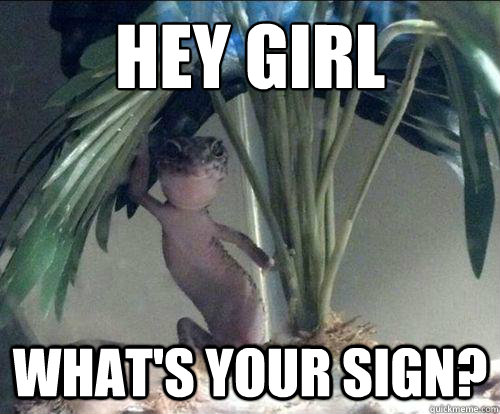 Hey girl what's your sign?  
