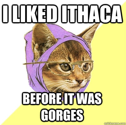 I liked Ithaca before it was Gorges  Hipster Kitty