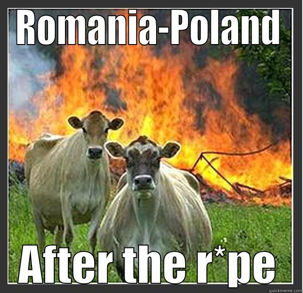 ROMANIA-POLAND AFTER THE R*PE Evil cows