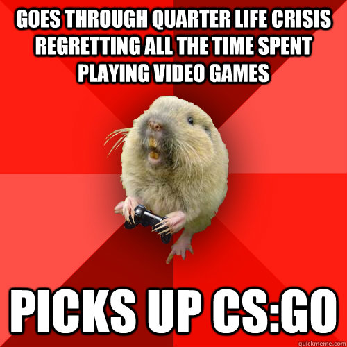 Goes through quarter life crisis regretting all the time spent playing video games Picks up CS:GO  Gaming Gopher