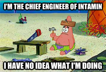 I'm the chief engineer of intamin I have no idea what i'm doing  I have no idea what Im doing - Patrick Star