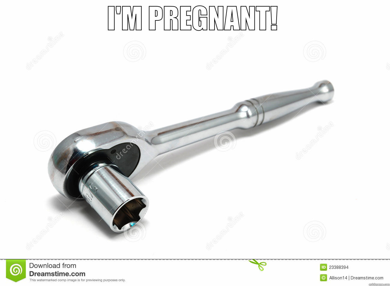 I'M PREGNANT!  Misc