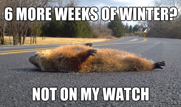 6 more weeks of winter? Not on my watch - 6 more weeks of winter? Not on my watch  Groundhog Comedy Banner