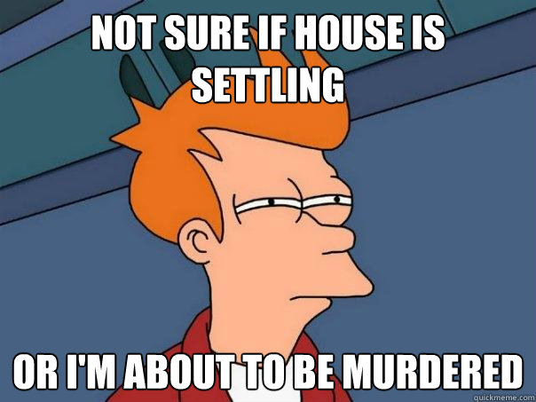 Not sure if house is settling  Or i'm about to be murdered  - Not sure if house is settling  Or i'm about to be murdered   Futurama Fry