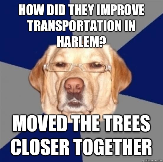 HOW DID THEY IMPROVE TRANSPORTATION IN HARLEM? MOVED THE TREES CLOSER TOGETHER  Racist Dog