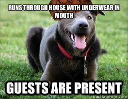 runs through house with underwear in mouth guests are present  Scumbag dog