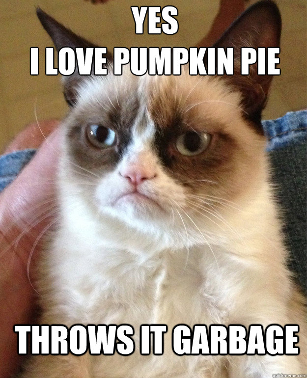 Yes
I love pumpkin pie throws it garbage  Grumpy Cat