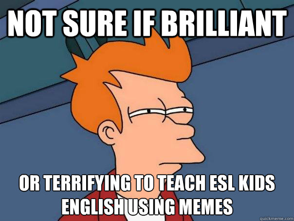 not sure if brilliant or terrifying to teach ESL kids english using memes  Futurama Fry