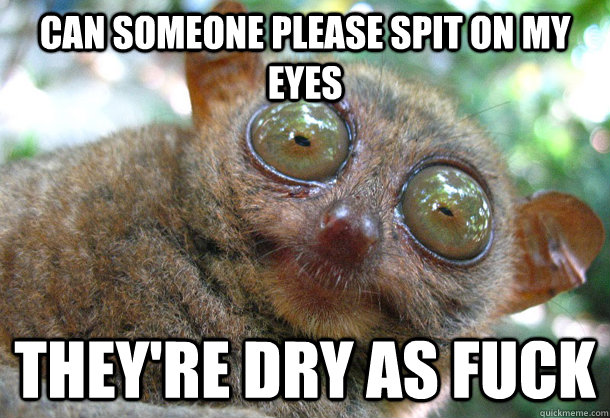 Can someone please spit on my eyes They're dry as fuck  Surprised bush baby