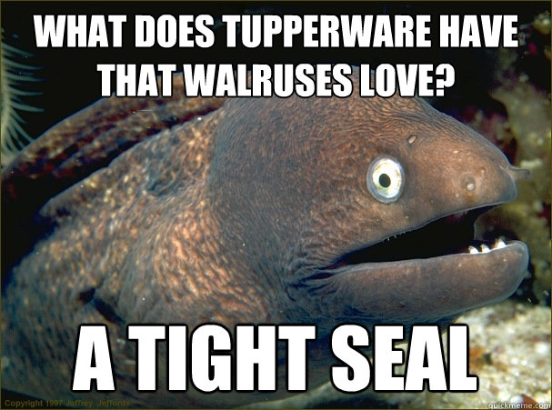 What does tupperware have that walruses love? A tight seal  Bad Joke Eel