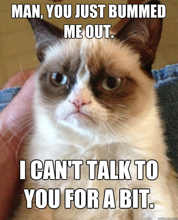 Man, you just bummed me out. I can't talk to you for a bit.  Grumpy Cat