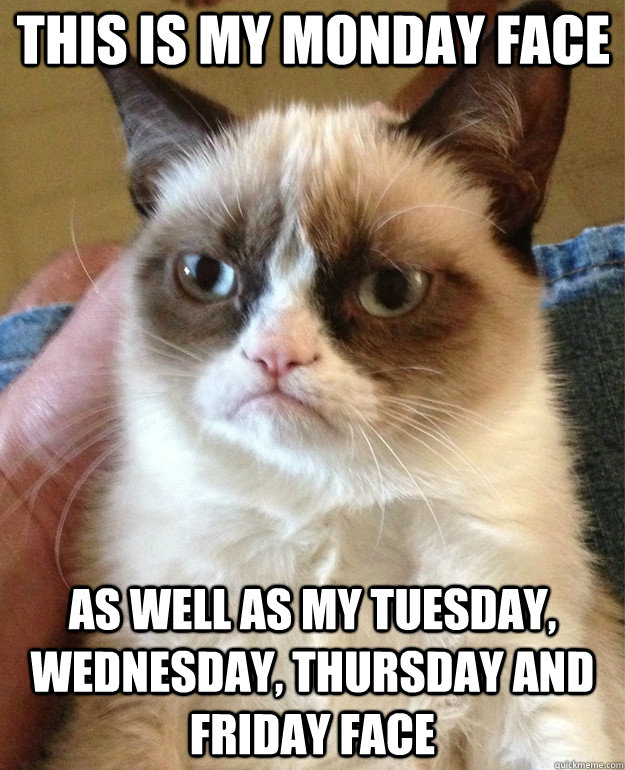 This is my Monday face as well as my Tuesday, Wednesday, Thursday and Friday face  Grumpy Cat