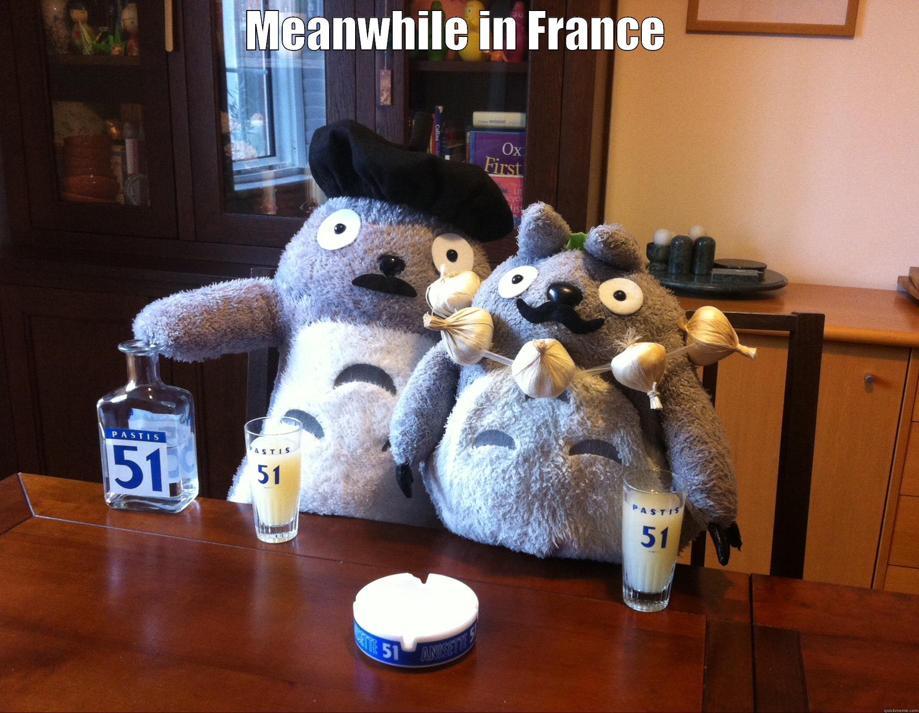 French Totoro drinking Pastis - MEANWHILE IN FRANCE  Misc