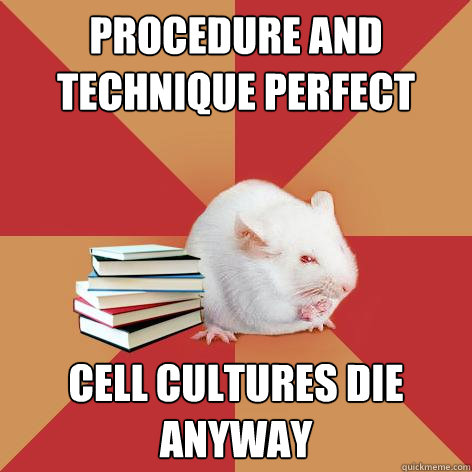 Procedure and technique perfect cell cultures die anyway  Science Major Mouse