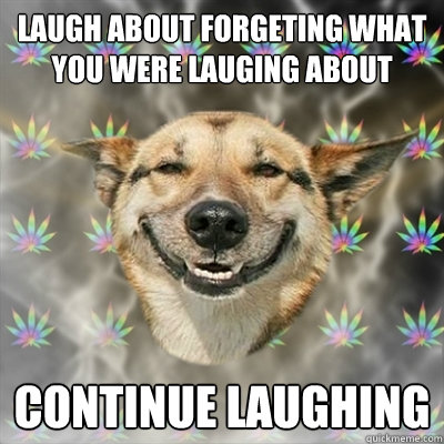 Laugh about forgeting what you were lauging about Continue laughing  Stoner Dog